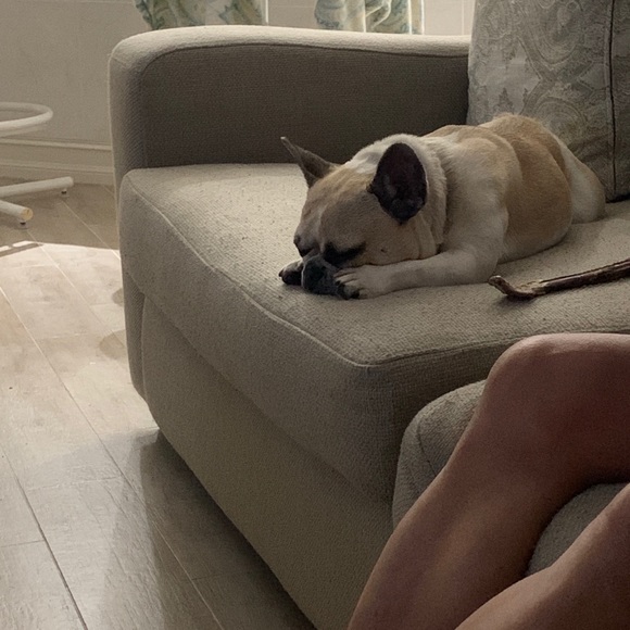 Meet your Posher, Stefanie - Picture 1 of 1